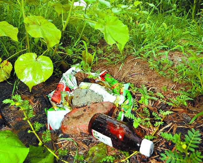 農(nóng)藥亂加隱性成分危害大