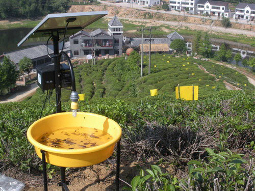 武大綠洲的田間試驗