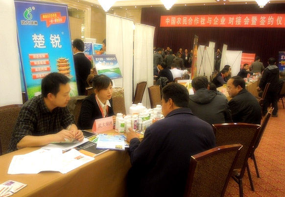 ���G�ކT����͑�Ԕ��(x��)��B��˾�a(ch��n)Ʒ