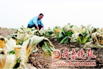 30�஀�ײ˱����r(n��ng)ˎ�½^�a(ch��n) �ٲݿݾ�����������