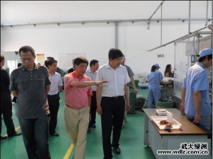 武漢市委常委馮紀春一行蒞臨武大綠洲生產基地(楚強生物)調研4