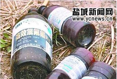 被廢棄的農(nóng)藥瓶 護鳥天使提供
