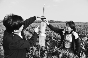 海南瓊海已建成1.5萬(wàn)畝綠色防控技術(shù)示范區(qū) 辣椒畝產(chǎn)量卻提高了近300公斤