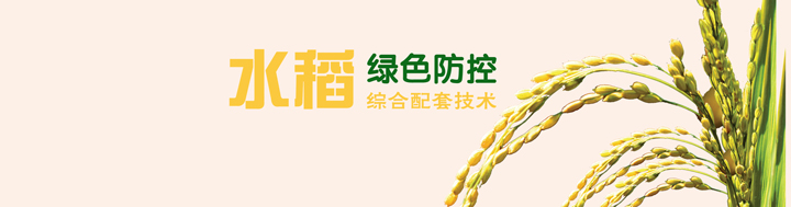 水稻綠色防控綜合配套技術(shù)