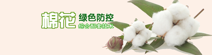 棉花綠色防控綜合配套技術(shù)