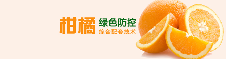 柑橘綠色防控綜合配套技術(shù)