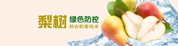 梨樹綠色防控綜合配套技術(shù)