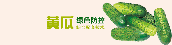 黃瓜綠色防控綜合配套技術