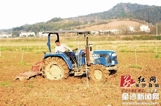 積極推廣生物農(nóng)藥、病蟲害綠色防控技術(shù)與有機肥 長沙一種植基地春耕忙