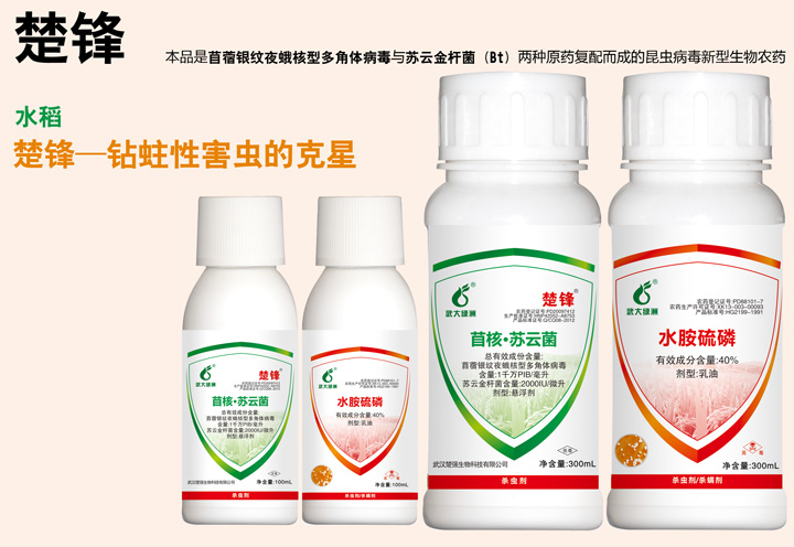     ���h������ޣ�y�yҹ����Ͷ���w�������K�ƽ�U����Bt�������Ч�B͸������(f��)����ɵ����x�������������r(n��ng)ˎ�����xȡʳ������������K�ƽ�ѿ�ߗU�������ں��x�����c�����������˺��x����������ʹ���x���׸�Ⱦ�����������S���M�뺦�x�w��(n��i)��������(f��)����ֳ����Ѹ�ٔUɢ�����xȫ��������λ�����xȾ����ʧȥΣ�����������ֱ��ȫ����ē����������ͨ�^���x���wҺ���S��������һ���^�m(x��)��Ⱦ�����������x����һ�����x���γɡ��x�������Ķ��܉��^�L�r�g���������ϵ��x���������Ƅ���ˮ�����׽M��ʹ�����ڔU���x�Vͬ�r��Ҳ�O�����ߚ��x����Ч�����c����ˮ��������ȣ����ڲ������Ъ��ص��������������ԣ������Ӿ�ˮ�����׿��ԵĮa(ch��n)����ʹ���x�ĳ�Ч�ڵõ��Mһ�����L�������p��ˮ�����׵����������߽M��ʹ�������_�����pȭ��������Ч������ ֮Ч����