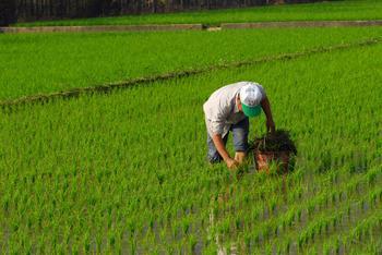 ����4��4���_ʼ���B�m(x��)�Ľ���׌�Ĵ��ϲ�����õ���������(d��ng)?sh��)��r(n��ng)��ץ�o�r(sh��)�C(j��)�M(j��n)�д����������r(n��ng)���ˆTҲ�ֽM�����l(xi��ng)�(zh��n)�M(j��n)��ָ��(d��o)��ȥ���붬�ԁ����Ĵ��ϲ��������^����ͬ��ƫ�٣����ɴ��������m(x��)�l(f��)չ����(du��)С�����a(ch��n)������������һ��Ӱ���