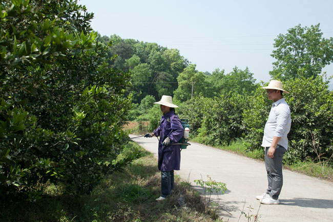 ���G�޲��x���Gɫ����ԇ�(y��n)2