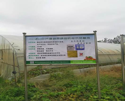 ���G���ڶ����e�k�Gɫ���ؼ��g��Ӗ��