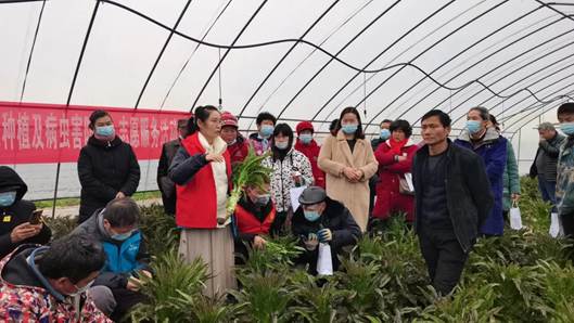 ���G���ڶ����e�k�Gɫ���ؼ��g��Ӗ��